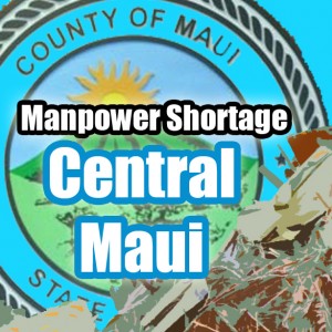 Manpower shortage, Central  Maui. Maui Now graphic.