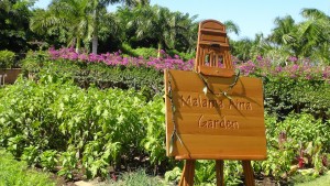 Newly-named garden at Four Seasons Resort Maui. Photo by Kiaora Bohlool.