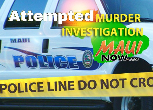 Attempted murder investigation. Maui Now graphic.