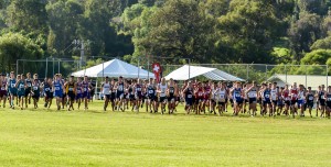 The start of the boys three-mile race Saturday at Seabury Hall. Photo by Rodney S. Yap.