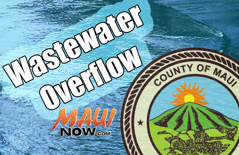 Wastewater overflow. Maui Now graphic.
