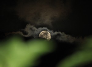 Moon over Maui. Courtesy photo.