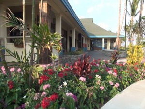 Landscaping and flowers at The Harbor Shops in at Māʻalaea. Photo by Kiaora Bohlool.