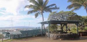 New Māʻalaea Lookout. Photo credit Maui Ocean Center.
