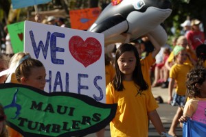 Parade of Whales, courtesy photo.