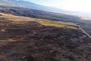 Kahikinui Brush Fire as of 2.18.2016 (Photo: Ryan Piros)