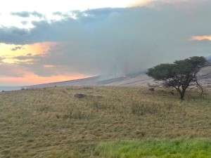 Kahikinui fire, photo taken at around 5:30 p.m. on Monday, Feb. 15, 2016, credit: Kalepa Farm.