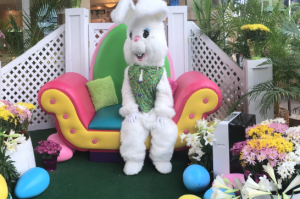 QKC Easter bunny. Courtesy photo.