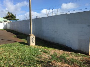 A mural will be painted on a 84-foot-long by 7-foot high wall in the Pā‘ia Municipal Parking Lot on Hāna Highway.