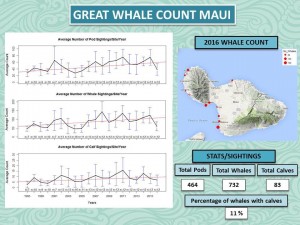 Great Whale Count Maui 2016. Photo credit: Pacific Whale Foundation.