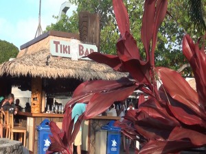 The bar near the pool at Kā‘anapali Beach Hotel. Photo by Kiaora Bohlool.