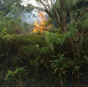 Wailuaiki Fire, Mile 20, Hāna Hwy. Photo credit: Kapena Kalama.