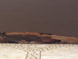 Termite damage. Maui Now photo.