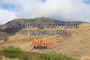Maui Now image.