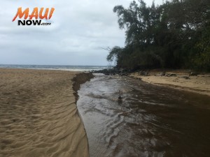 Brown water, Honokahua Bay (3.16.16). Photo courtesy: Hawaiʻi State Department of Health.