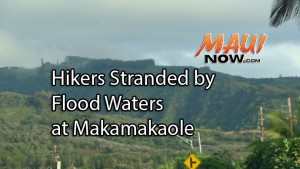 Fire crews respond to a water rescue at Makamakaʻole Gulch. File photo from Kahekili Highway looking toward Waiheʻe by Wendy Osher.