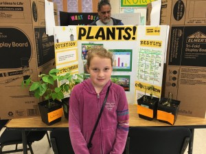 Can plants grow when watered with tap water, Pepsi, salt water and detergent? Debra Lordan photo.