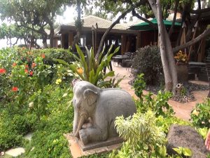 Statue on the grounds of Hyatt Regency Maui. Photo by Kiaora Bohlool.