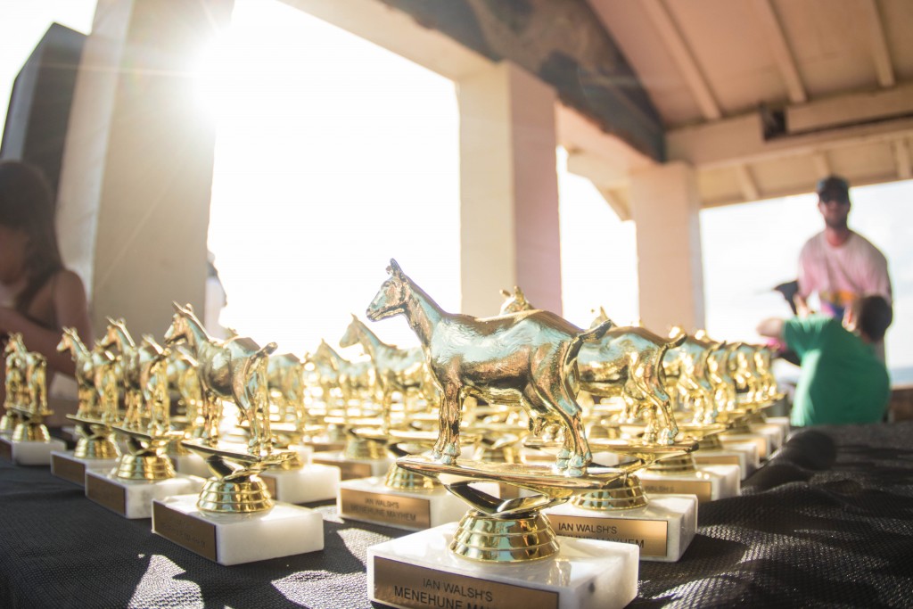The highly prized goat trophies for all finalist photo: Marc Chambers