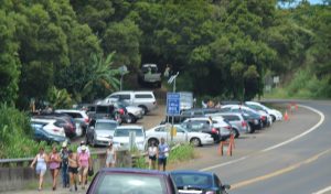 Twin Falls parking area long the Hāna Highway. File photo by Wendy Osher.