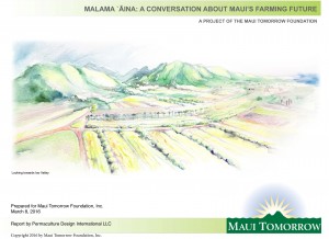 Mālama ‘Āina: A Conversation About Maui’s Farming Future. Report cover image courtesy Maui Tomorrow Foundation.