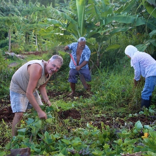 Nāpili Community Garden. Photo courtesy: seedsofchangegrant.com