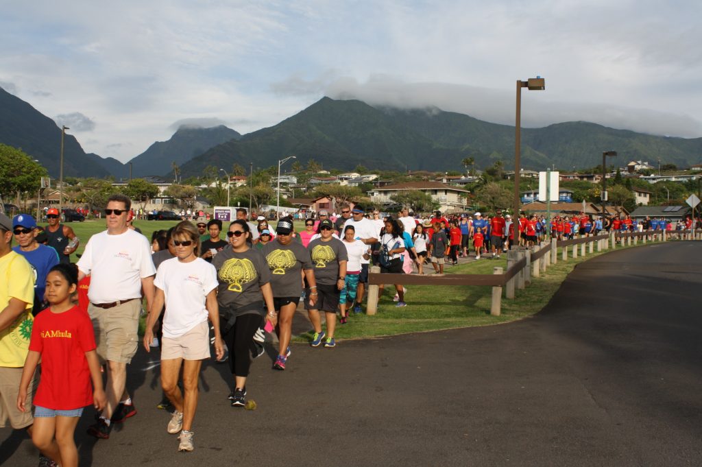 Maui Hotel and Lodging Association Charity Walk 2016. Courtesy photo.