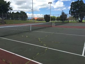 Eddie Tam tennis courts May 2016. Photo: Debra Lordan