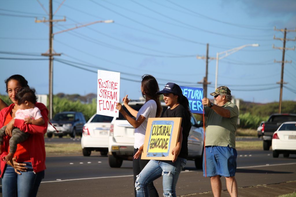Water rights rally on Hāna Highway (5.3.16). Photo by Nicole Schenfeld.