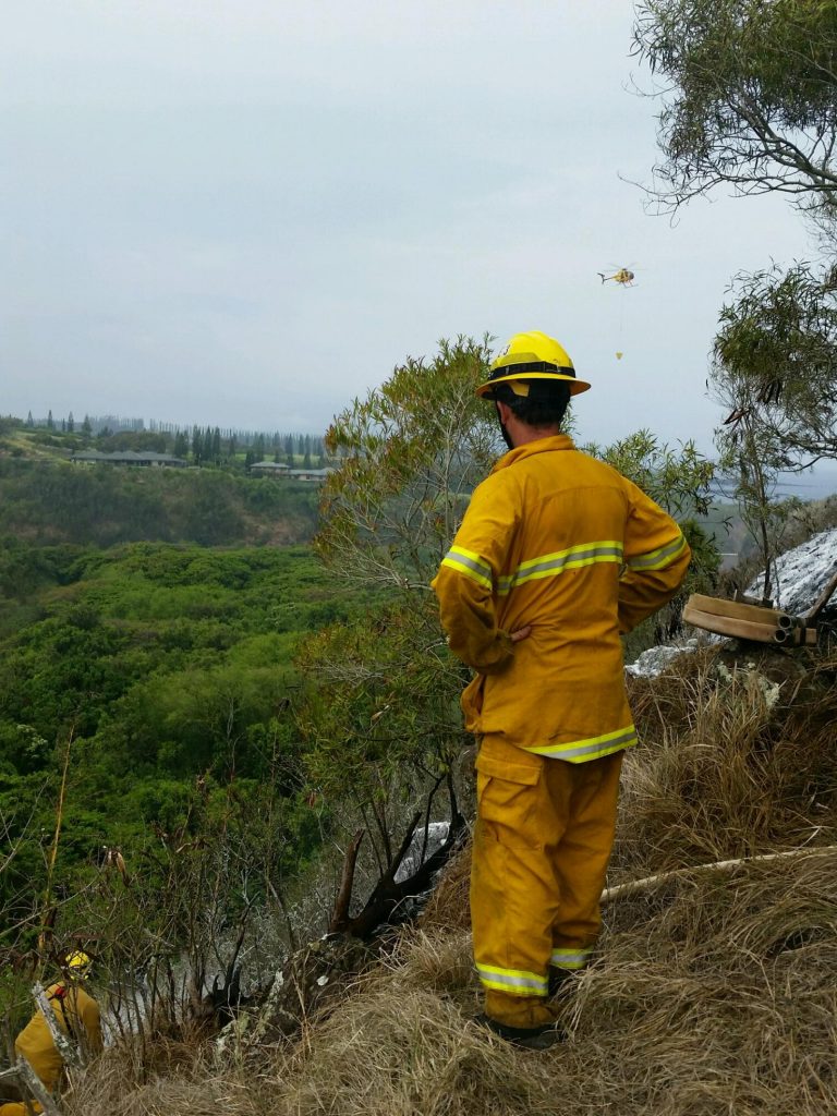 Honolua brush fire. Photo Credit: Fire Capt. Kaulana Kino