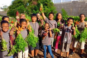 "Saladbration" at Maui School Garden Network, one of the groups reaping the benefits of RSVP.  Courtesy photo.
