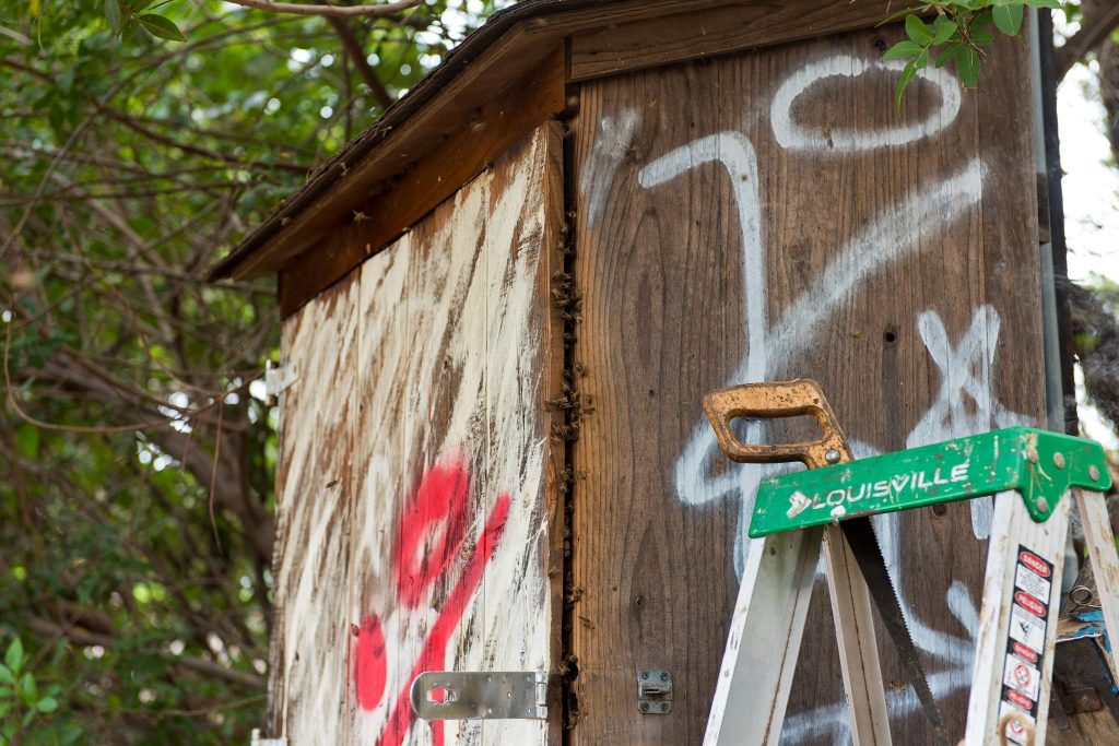 Beehive removal on a Civil Defense siren at Haycraft Beach Park in Māʻalaea. (6.2.2016) (Photo: Ryan Piros)