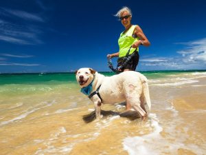 Maui Humane Society worker with dog. Courtesy photo.