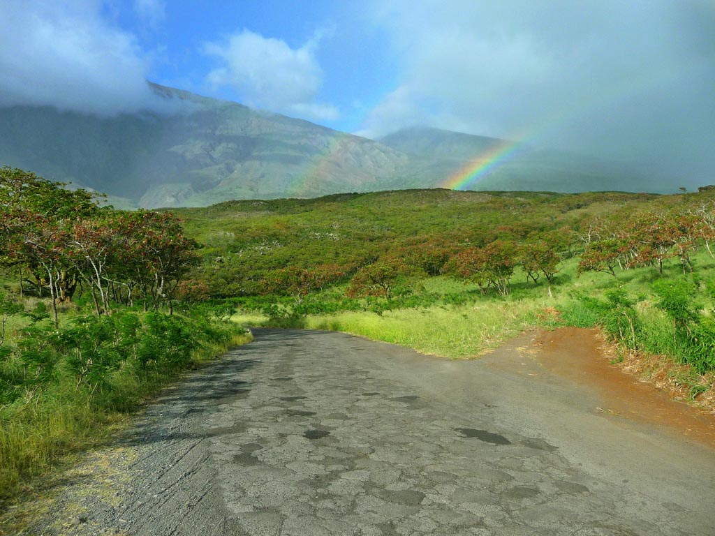 Tourmaui.com Kaupō Rainbow. Courtesy photo Hawaiʻi Ecotourism Association.