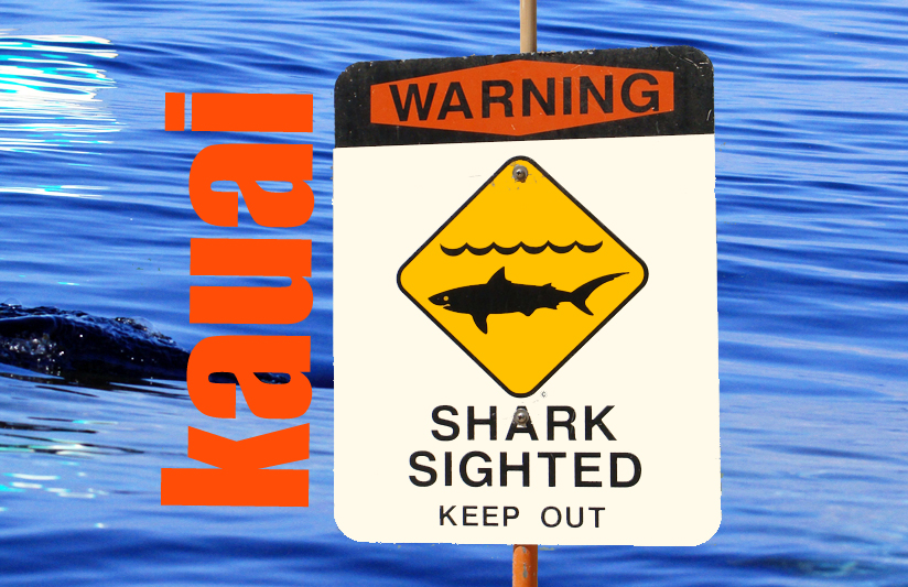 Shark incident, Kauaʻi. Maui Now graphic.