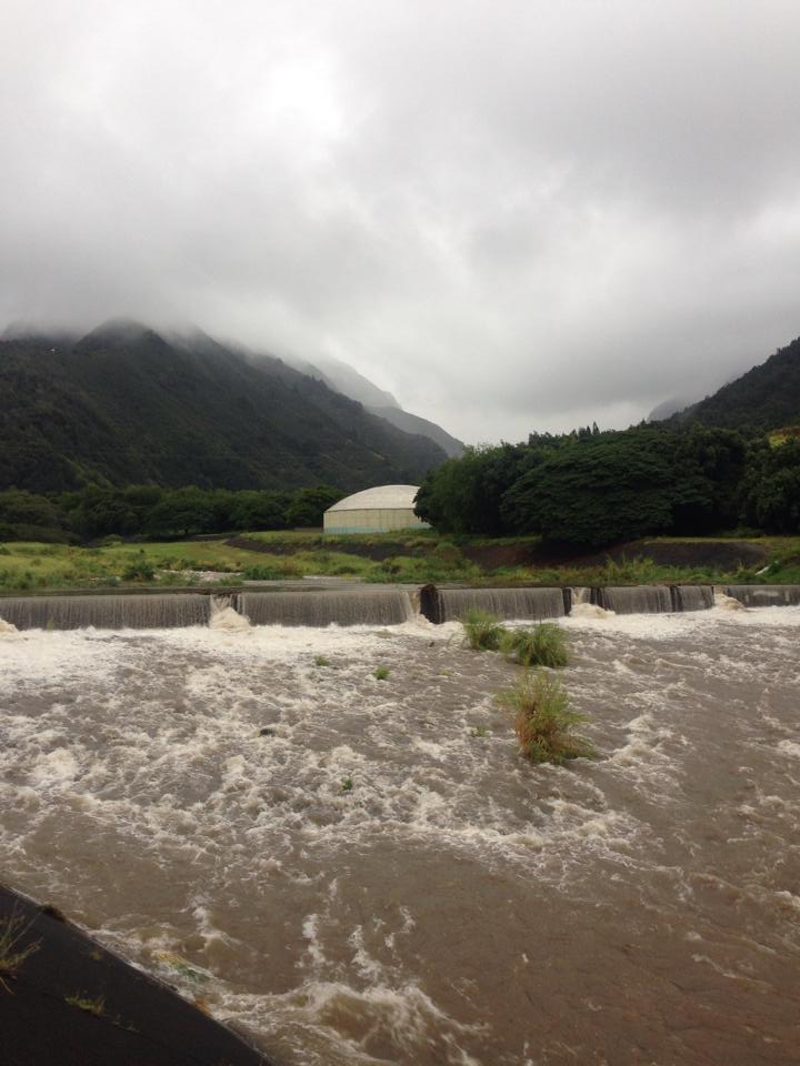 Wailuku (ʻĪao Stream) River. 7.23.16. Photo credit: Timo Nelson.