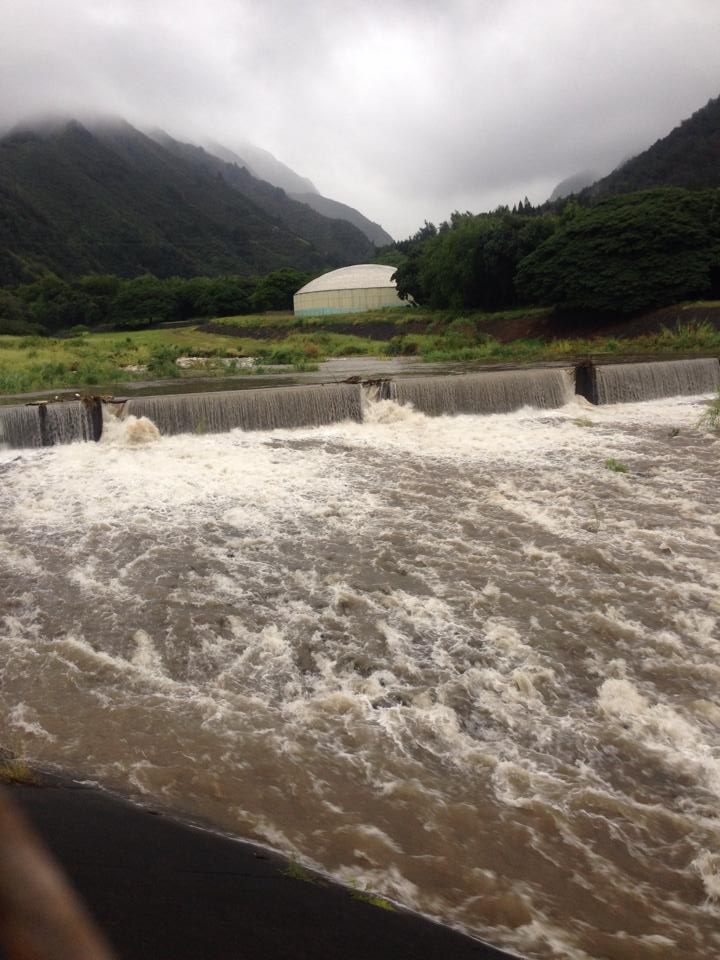 Wailuku (ʻĪao Stream) River. 7.23.16. Photo credit: Timo Nelson.