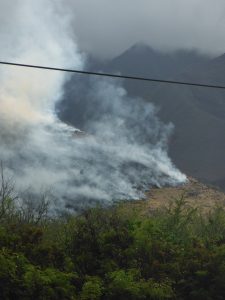 Sarah Turner took these photo near mile marker 13.5. of the Honoapi‘ilani Highway at approximately 10 a.m. this morning.