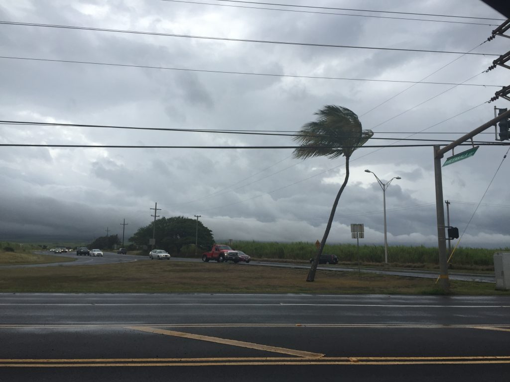 Tropical Storm Darby. Haleakalā not visible from corner of Hāna and Haleakalā (8:45 a.m.) 7.24.16. Photo credit: Nicole Schenfeld.