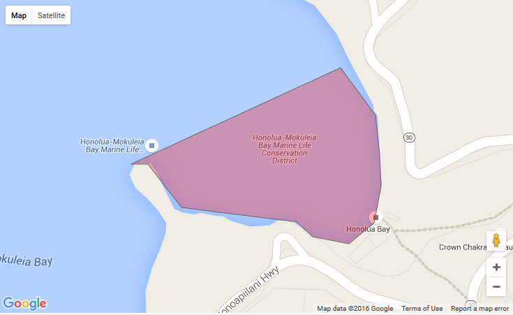 Brown Water Advisory. Honolua Bay 7.15.16. Courtesy: DOH.