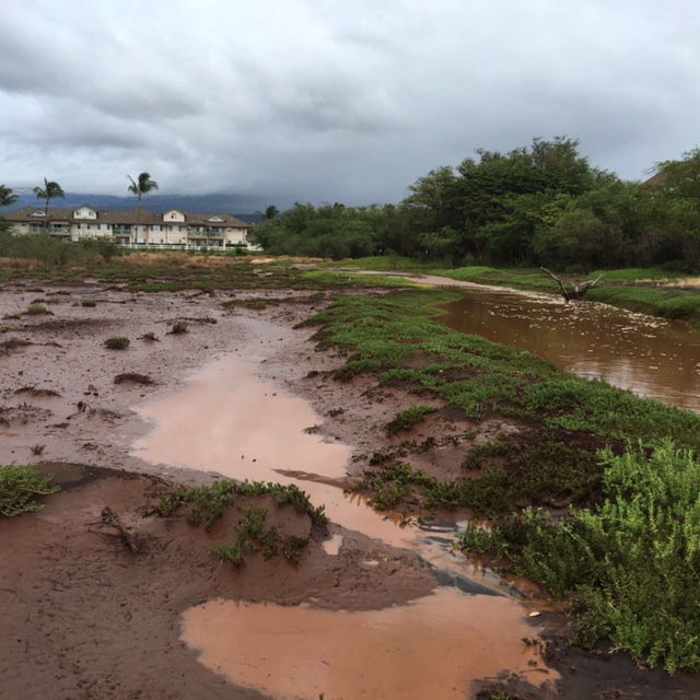 Brown Water Advisory. Kōʻieʻie 7.15.16. Courtesy: DOH.