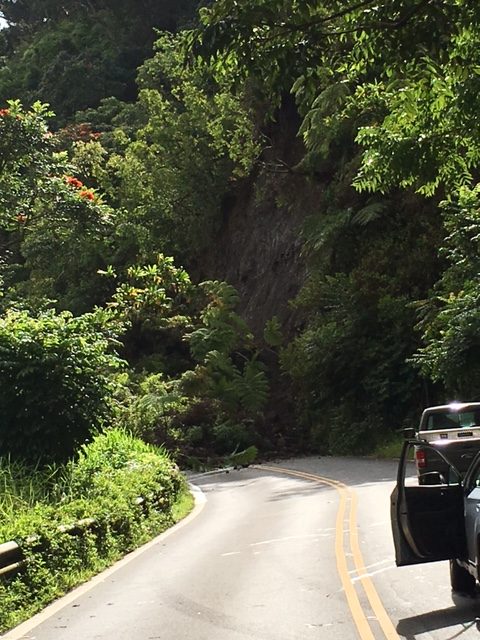 Hana Hwy landslide at Wailua. Photo credit Daniel Bowers.
