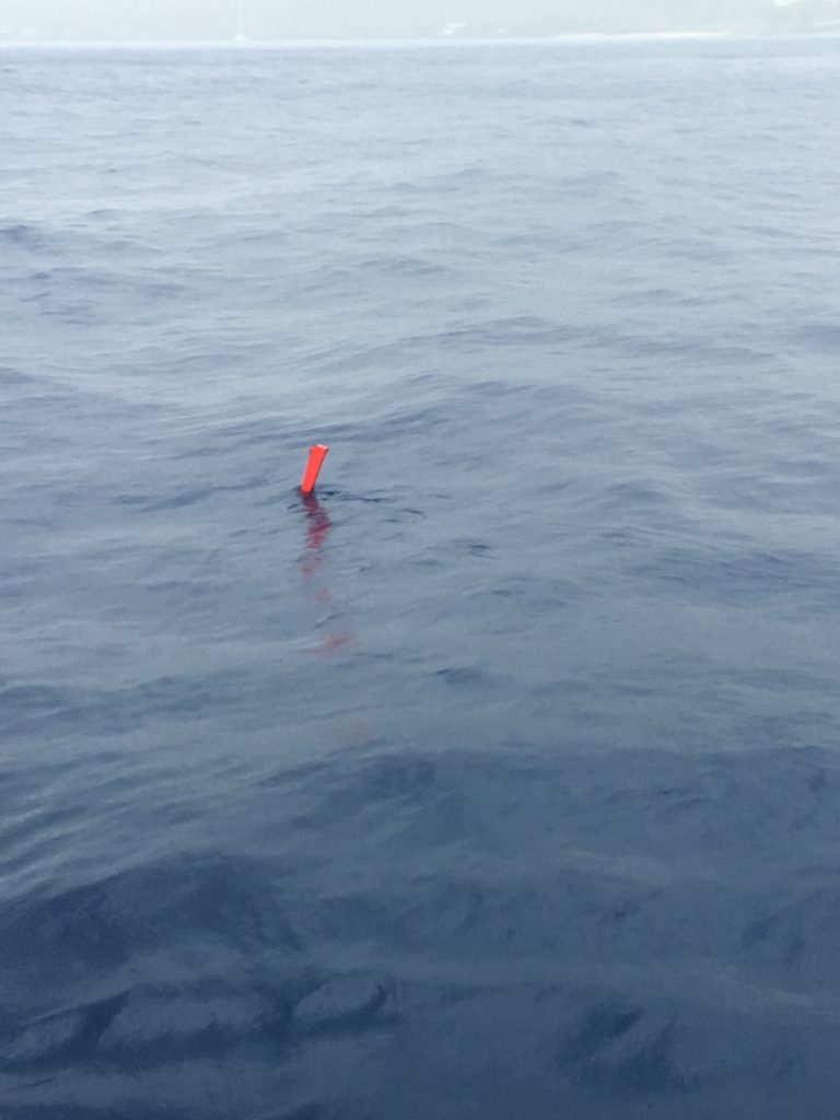Dive float found near Mākena, Maui (7.13.16) Courtesy photo.