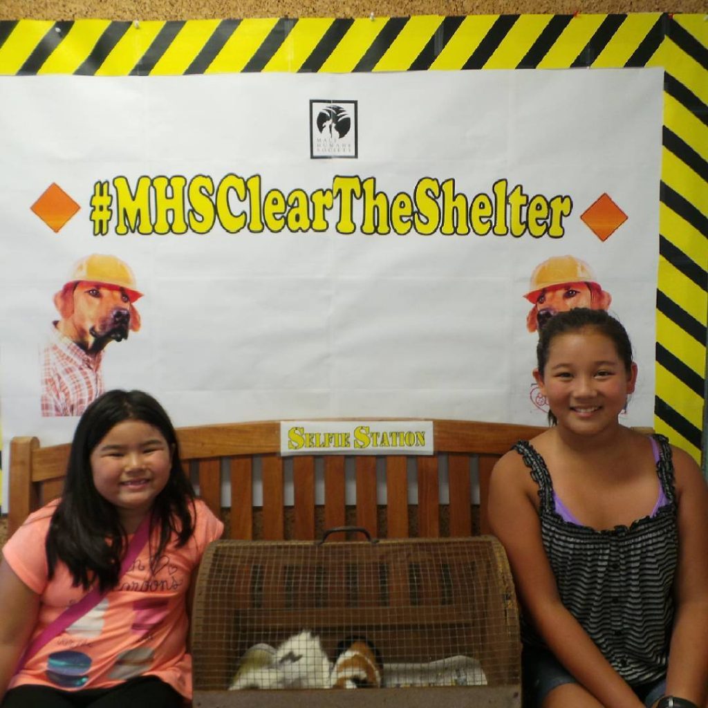 "Clear the Shelter." Photo courtesy: Maui Humane Society.
