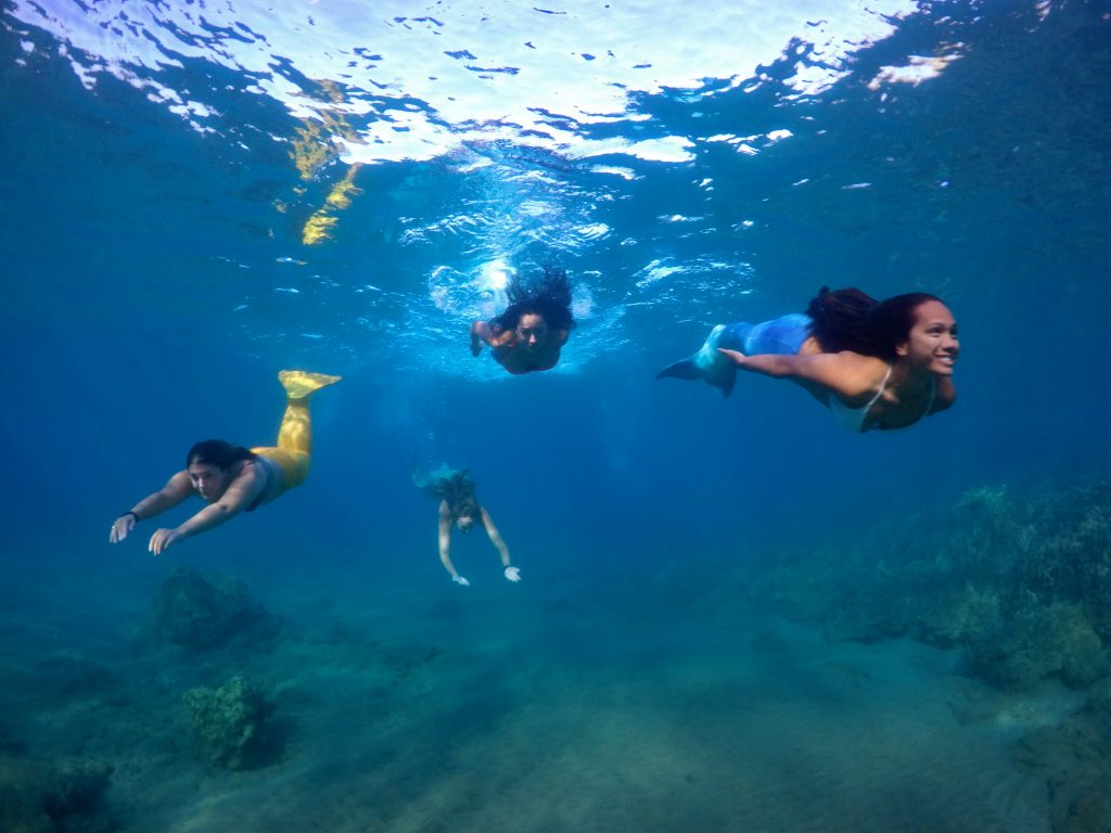 Photo credit: Hawaiʻi Mermaid Adventures
