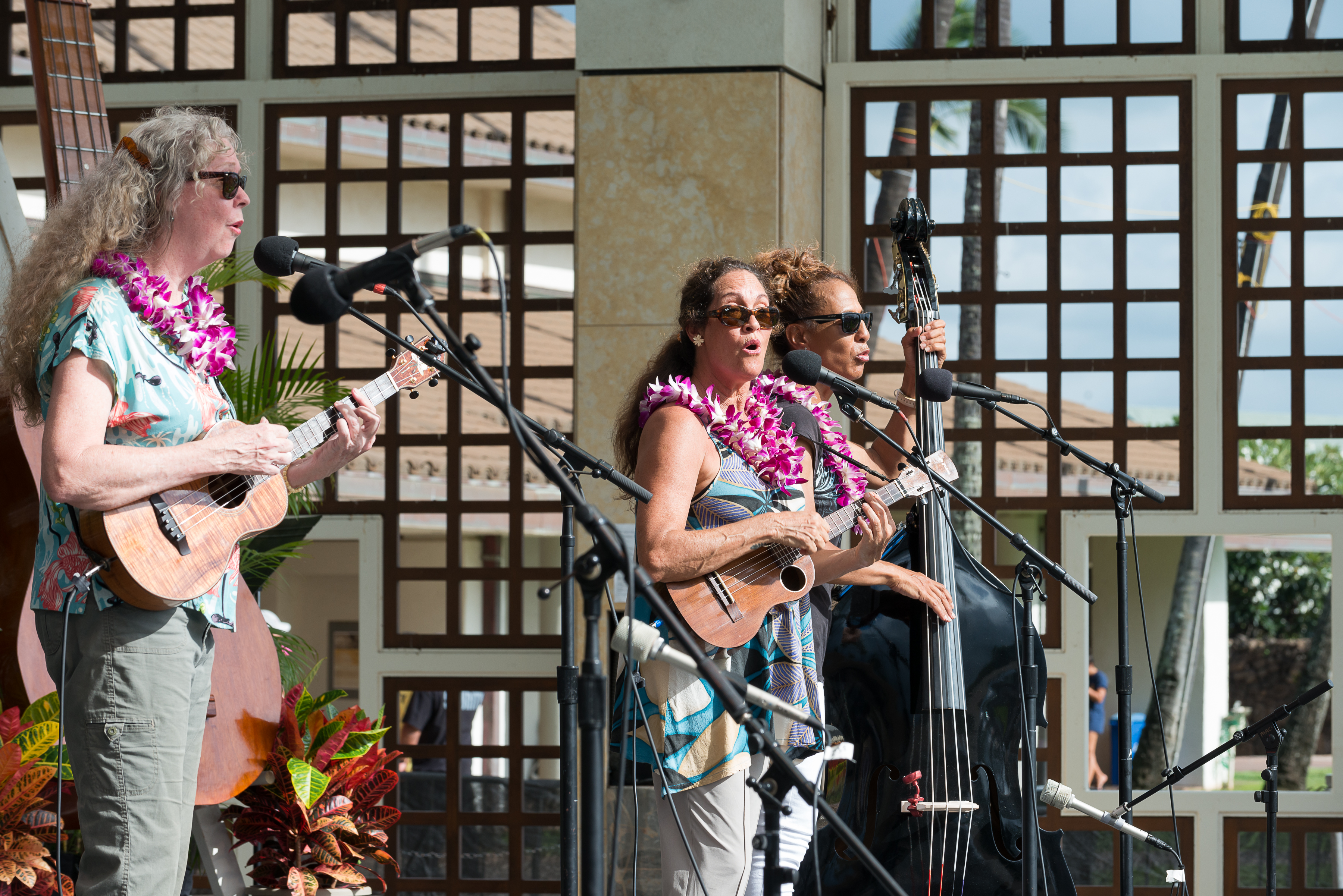 11th Annual Maui 'Ukulele Festival. PC: The Hula Honey, photo by Aubrey Hord.