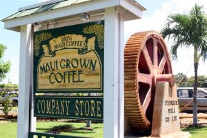 MauiGrown Coffee store in Lāhainā. Courtesy photo.