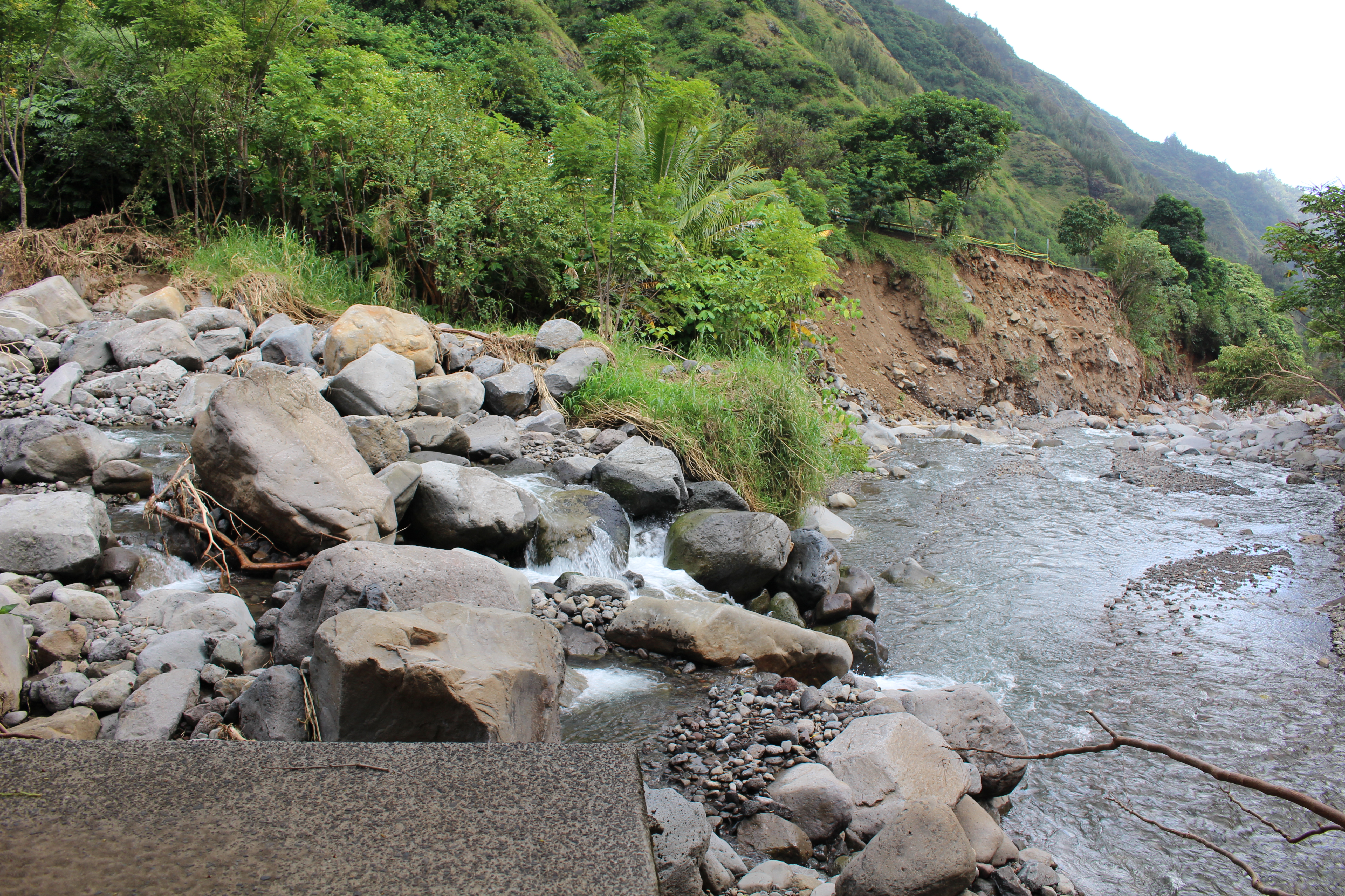 ʻĪao Valley flood restoration. Photo 10.4.16 by Wendy Osher.