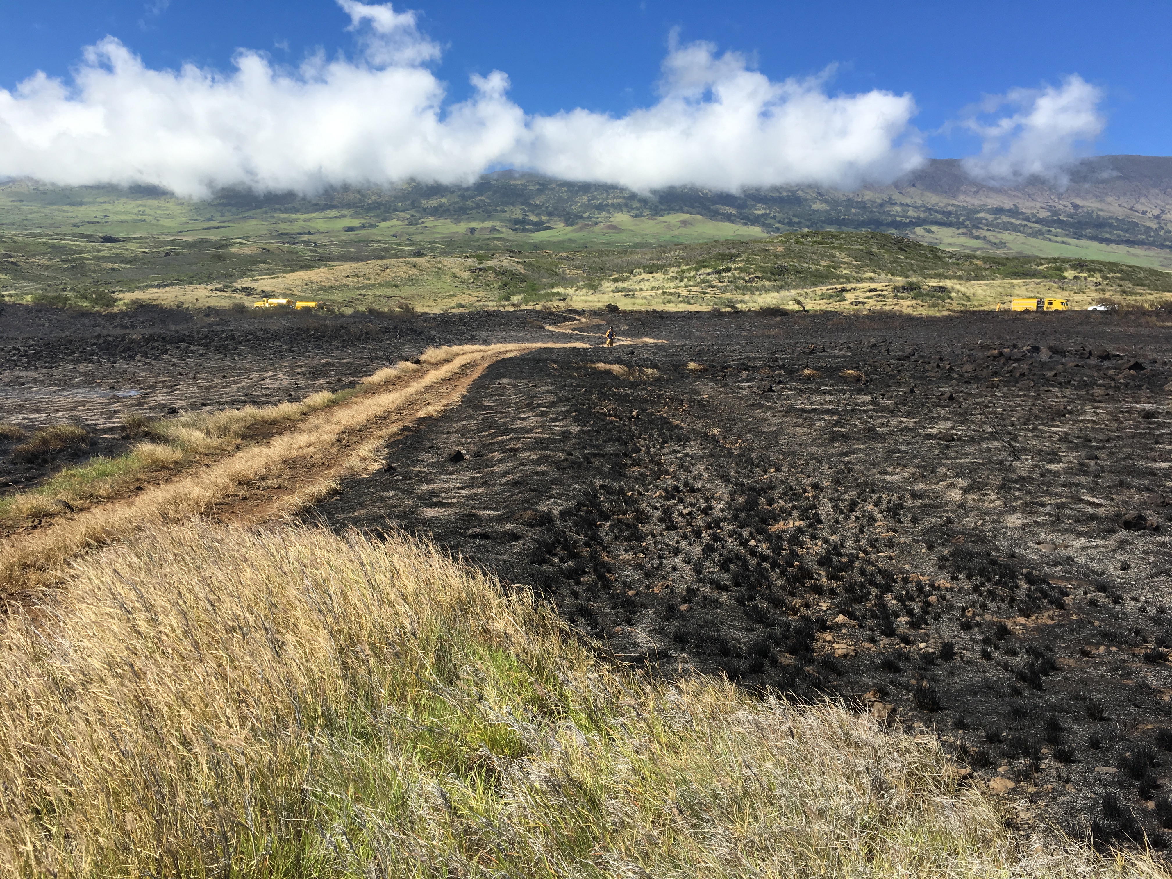 Kahikinui brush fire on 10.17.16. PC: Maui Fire Dept.