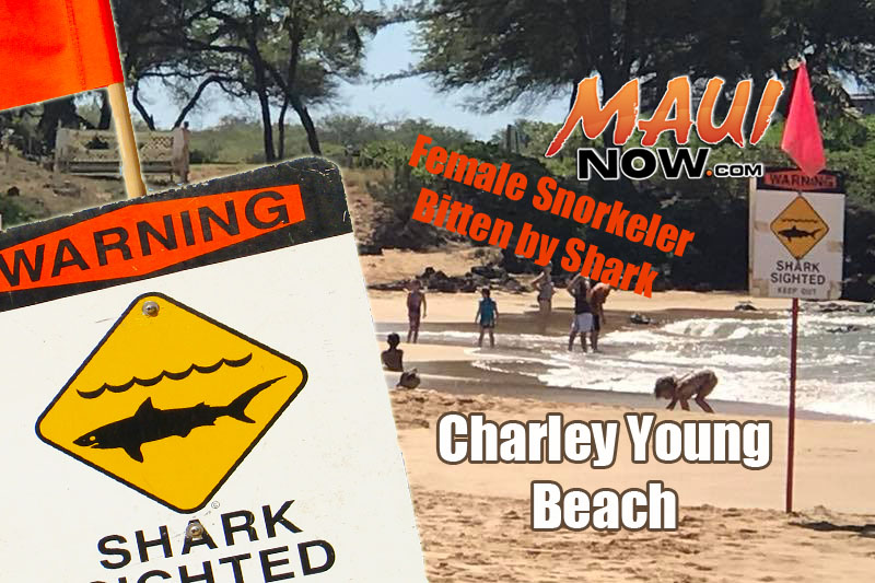 Shark sighting signs posted at Kamaole III, 10.14.16. Background photo: Nik Izbicki.  Maui Now graphics.